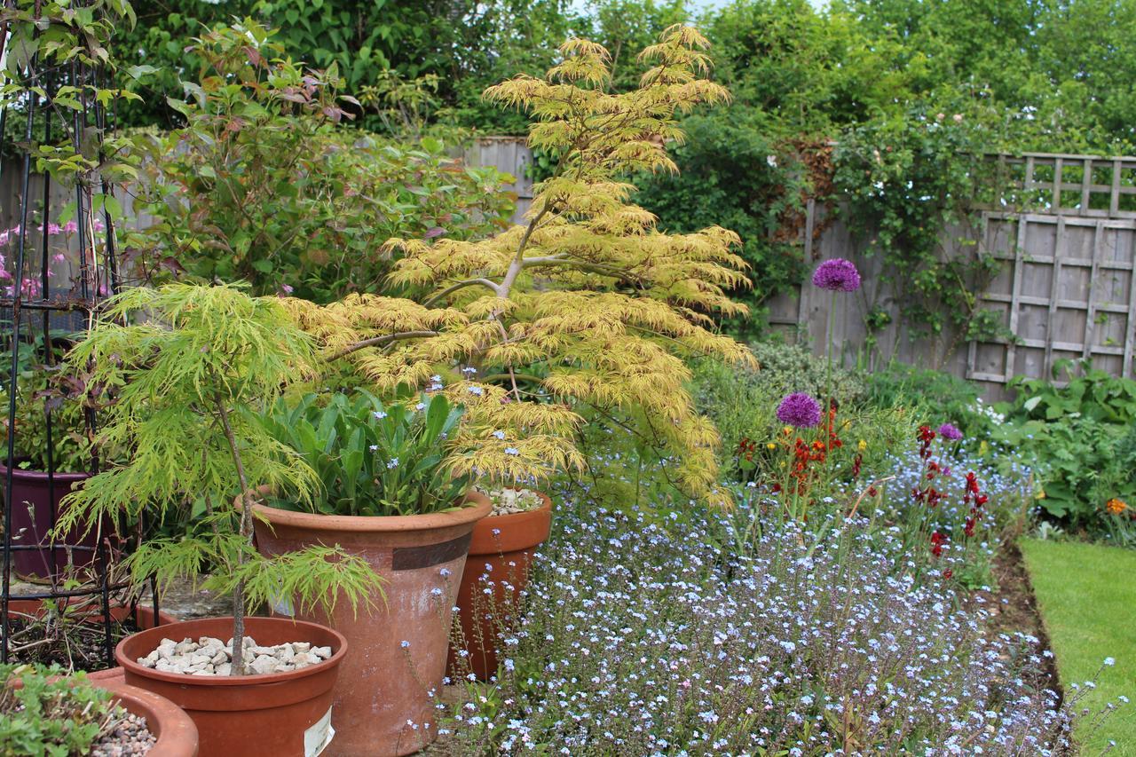 Laurels Guesthouse Witney Buitenkant foto